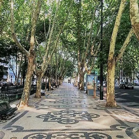 Appartement - Avenida
